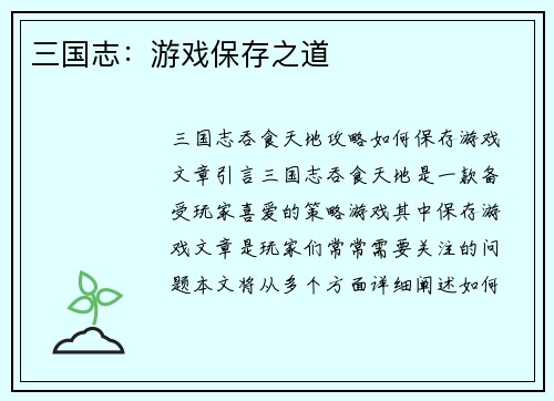 三国志：游戏保存之道